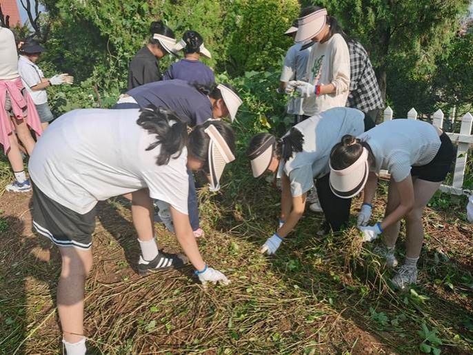 1f8a2a9719cc652ffd727e755fc0a9ff_origin(2)